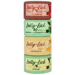 Lolly-Lick Rosehip 700G