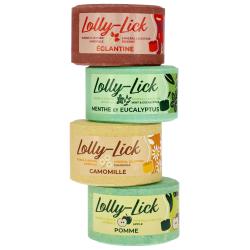 Lolly-Lick Rosehip 700G