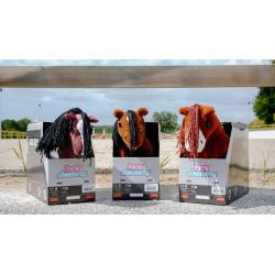 Pony Academy Jumpy Chesnut