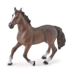 Brown Horse