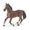 Brown Horse