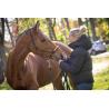 Auteuil Padd Jacket Black Xxs