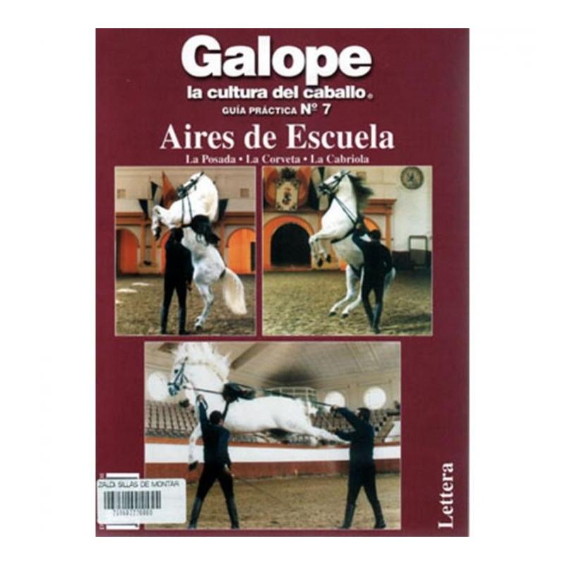  Libro: Guía De Escuela Nº7