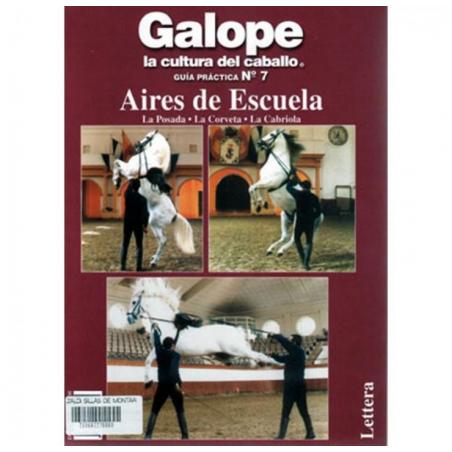  Libro: Guía De Escuela Nº7