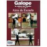  Libro: Guía De Escuela Nº7