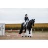 Dressage Coat Munich Black 34