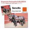  Enganche Pechopetral Valencia Sencillo Avellana