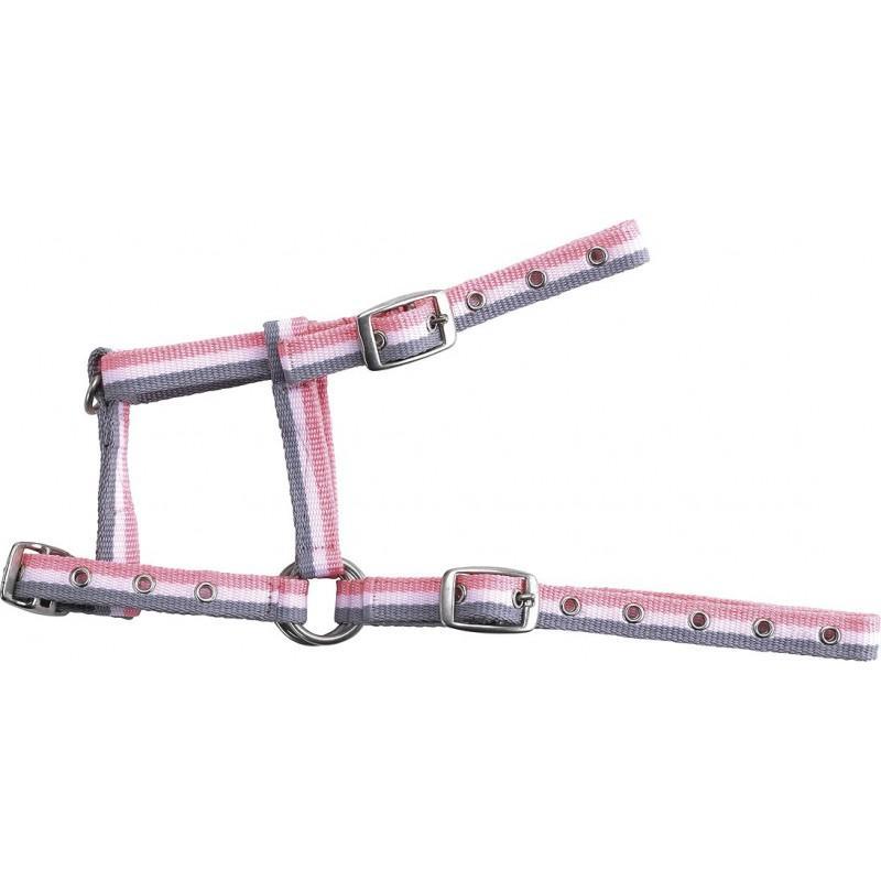 Cabezada ajustable para potro
