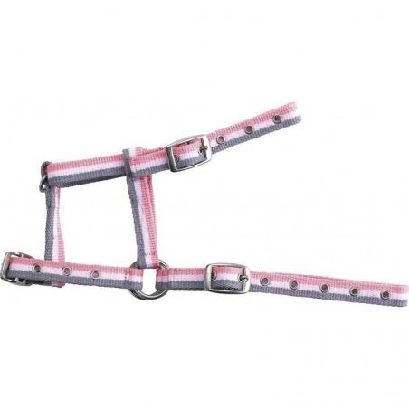 Cabezada ajustable para potro