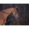 Gogue con poleas RIDING WORLD
