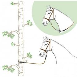 Ramal NORTON "Rando"