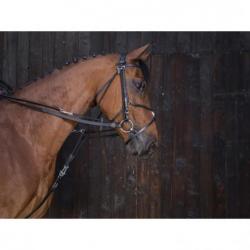 Riendas de gogue de cuero RIDING WORLD