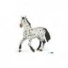 Caballo appaloosa negro PAPO