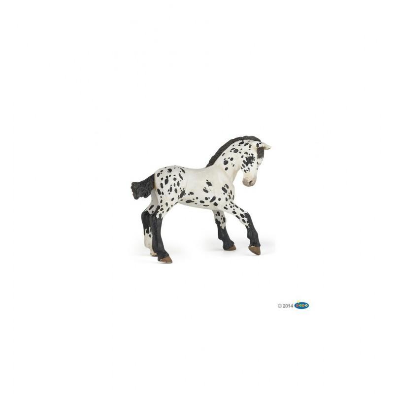 Potro appaloosa negro PAPO