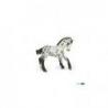 Potro appaloosa negro PAPO