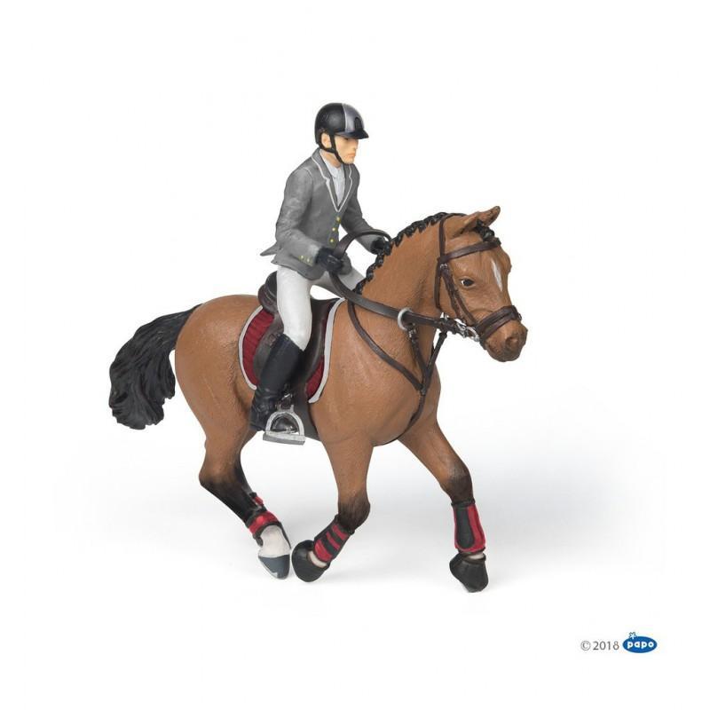 Caballo de concurso con jinete PAPO
