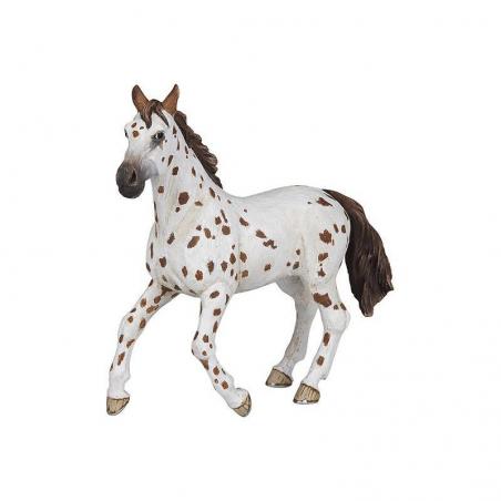 Yegua Appaloosa PAPO