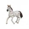Yegua Appaloosa PAPO
