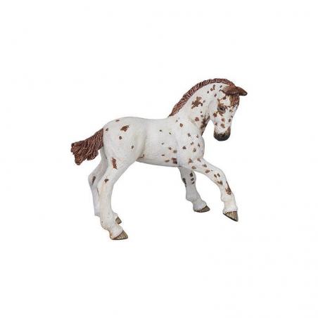 Potro Appaloosa PAPO
