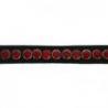 Frontalera NORTON PRO "Strass"