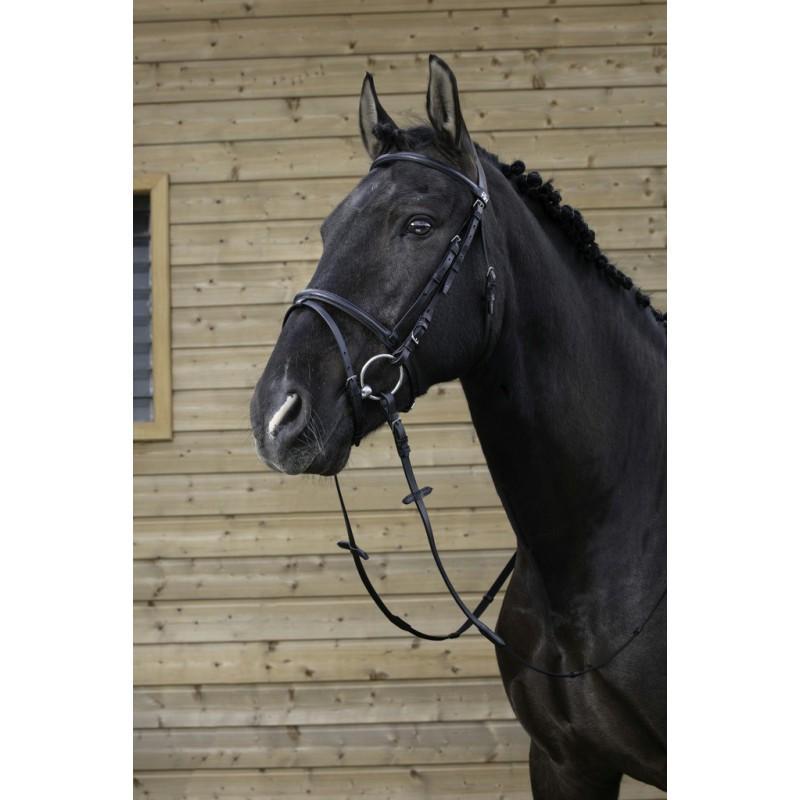 Cabezada de montar RIDING WORLD "Muserolle combinée"