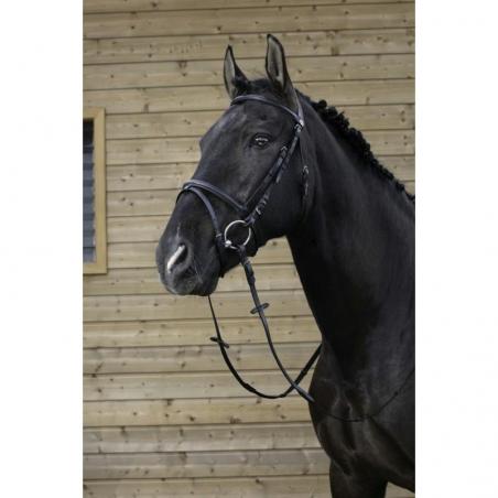 Cabezada de montar RIDING WORLD "Muserolle combinée"