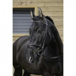 Cabezada de montar RIDING WORLD "Muserolle combinée"