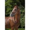 Cabezada de montar RIDING WORLD "Muserolle combinée"