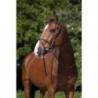 Cabezada de montar RIDING WORLD "Muserolle combinée"
