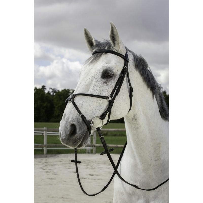 Cabezada de montar RIDING WORLD "Muserolle combinée"