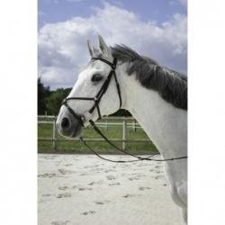 Cabezada de montar RIDING WORLD "Muserolle combinée"