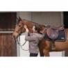 Silla de salto ERIC THOMAS DTA ANTARES
