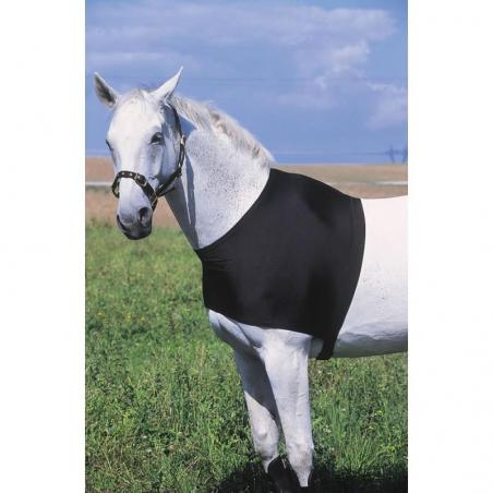 Protección de espaldas EQUITHÈME