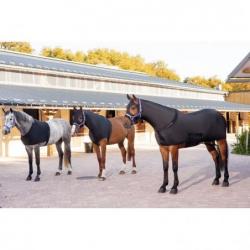 Protección de espaldas EQUITHÈME