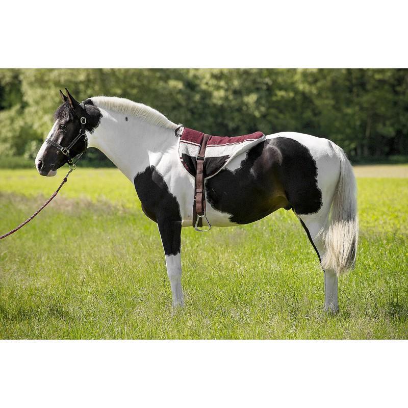 Mantilla de monta a pelo NORTON