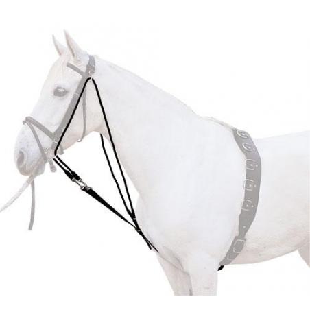  Gogue Lexhis