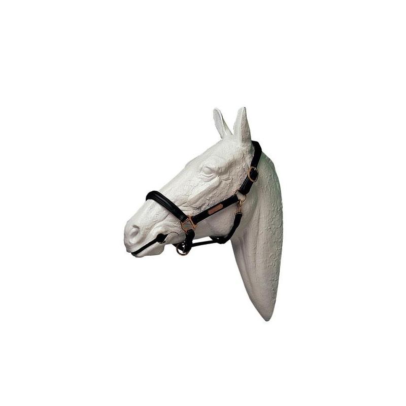  Cabezada Cuadra Lexhis Cuero