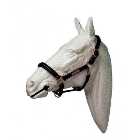  Cabezada Cuadra Lexhis Cuero