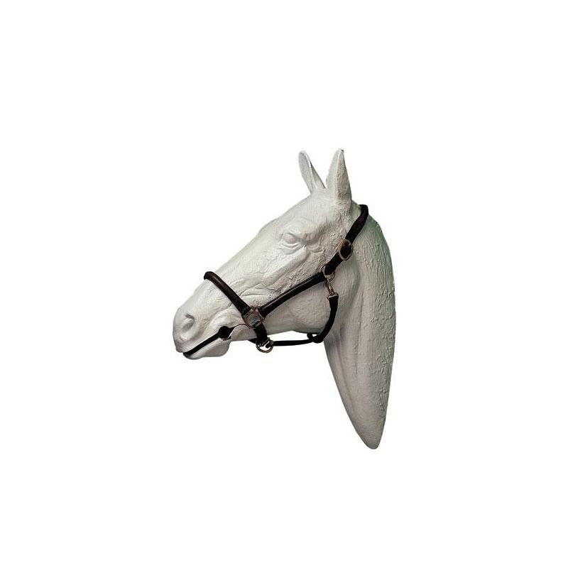  Cabezada Cuadra Hh Cuero Grande