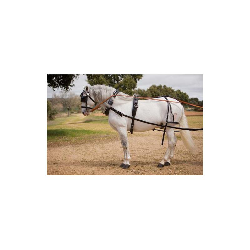  Enganche Hh Keiffer Collarin Sencillo