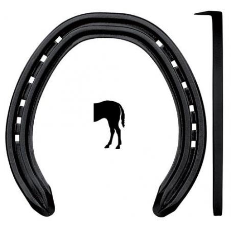  Herradura Kerckhaert Dr 1 Pestaña Posterior