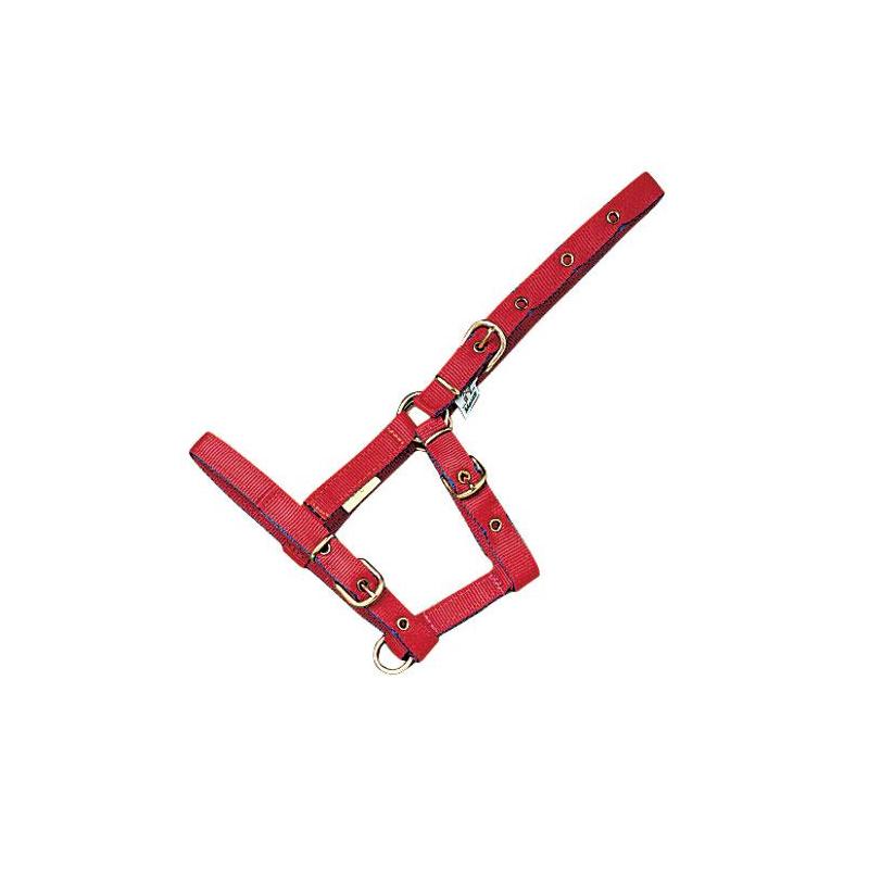  Cabezada Cuadra Mehis Nylon Foal