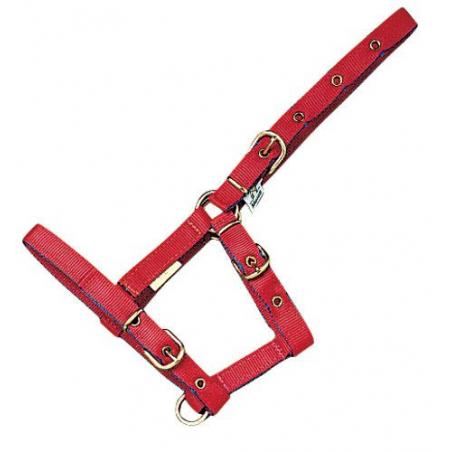  Cabezada Cuadra Mehis Nylon Foal