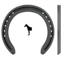 Kerckhaert Kings Dr Steel...