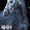  Riendas Rambo Micklem Competition Bridle