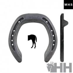  Herradura Mhs Fitzwygram...