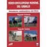  Dvd Vídeo-enciclopedia Mundial Del Caballo Yeguada Cárdenas-yeguada Candau