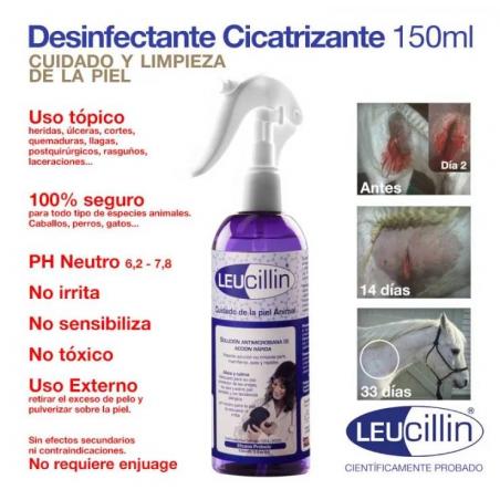 Zaldi Desinfectante Cicatrizante Leucillin
