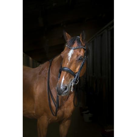 Cabezada Eric Thomas Hybrid Weymouth