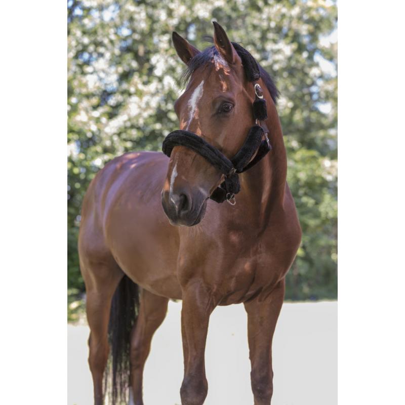 Cabezada Norton "full Mouton Synthétique"